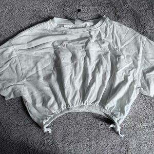 Zara Cropped Top with Puffy Sleeves